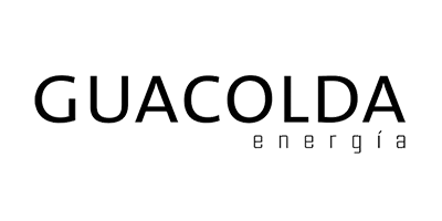 logo-guacolda-set